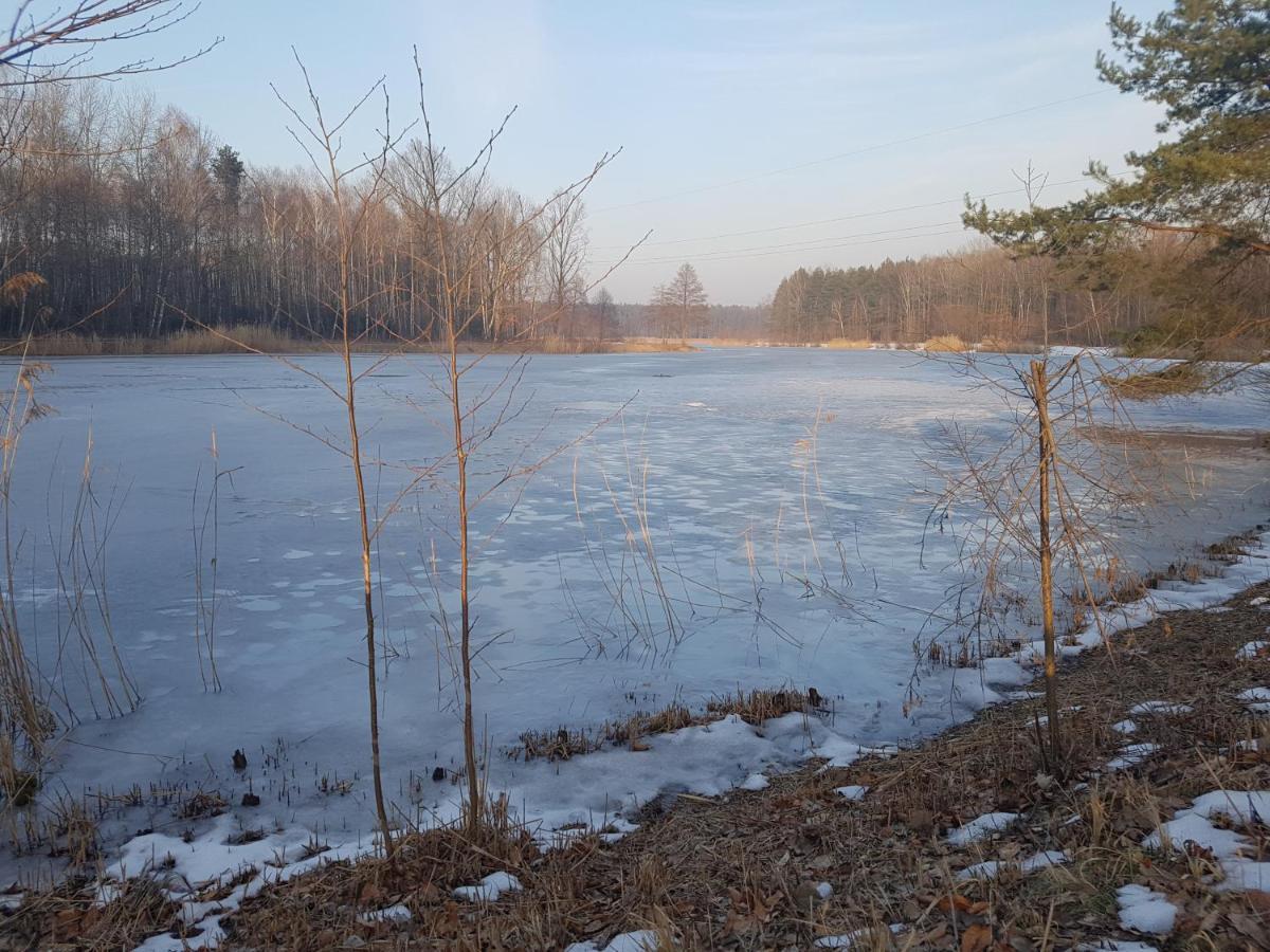 Pod Kominem Pokoje I Apartamenty Brzezie  Exterior foto